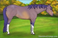 Horse Color:Watercolor Buckskin 