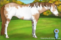 Horse Color:Bay Pearl Sabino Frame