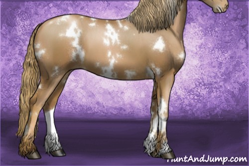 Horse Color:White Spotted Liver Chestnut Pearl 