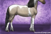 Horse Color:Brown Roan Dun Tobiano Rabicano