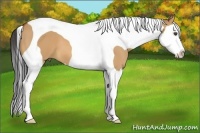 Horse Color:Bay Dun Splash Tobiano