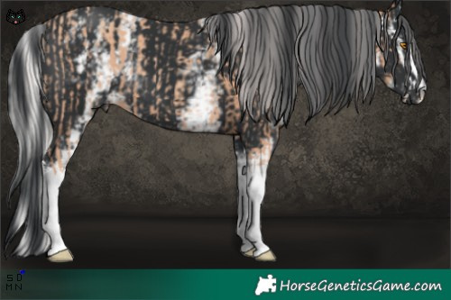 Horse Color:Silver Classic Champagne Splash and White Spotted Black