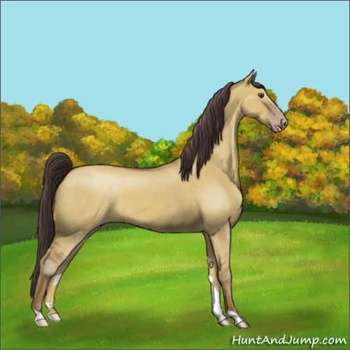 Horse Color:Classic Champagne Dun 