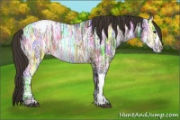 Horse Color:Buckskin Ice Appaloosa 