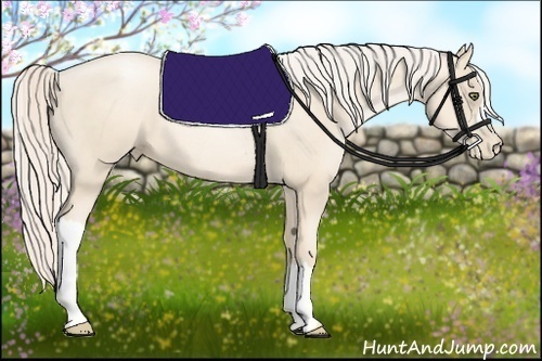 Horse Color:Gold Cream Champagne Pearl 