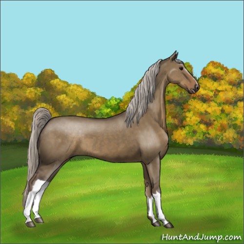 Horse Color:Silver Grullo
