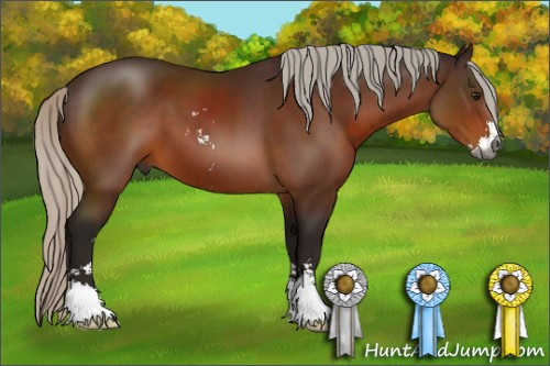 Horse Color:Gray Silver Bay Sabino 