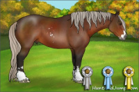 Horse Color:Gray Silver Bay Sabino