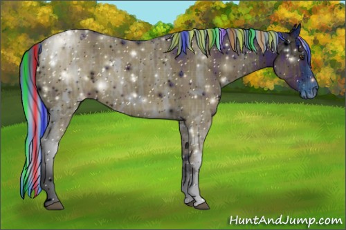 Horse Color:ERROR: UNKNOWN ANOMALY