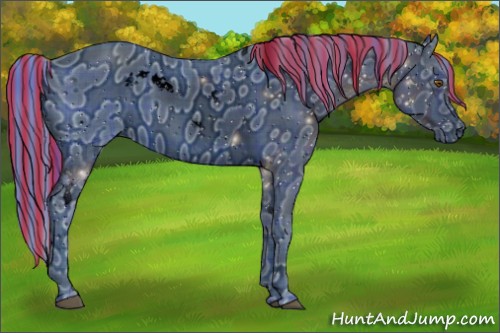 Horse Color:ERROR: UNKNOWN ANOMALY