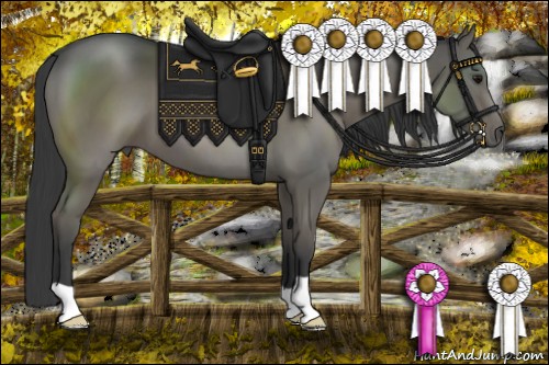 Horse Color:Smoky Grullo 