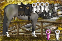 Horse Color:Smoky Grullo 