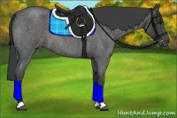 Horse Color:Smoky Blue Roan 
