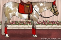 Horse Color:White Spotted Chocolate Silver Smoky Grullo