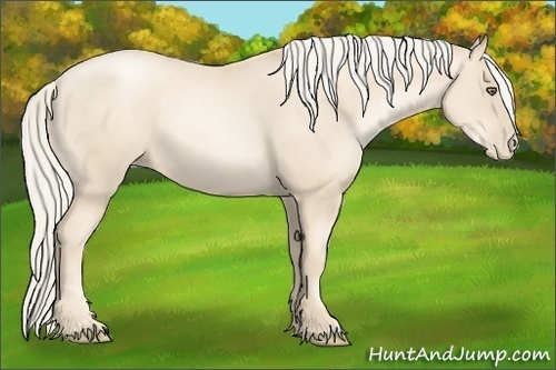 Horse Color:Gold Cream Champagne Pearl 