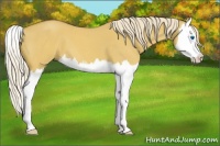 Horse Color:Palomino Roan Dun Splash 