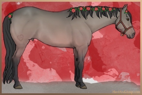 Horse Color:Buckskin Dun 