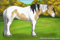 Horse Color:Bay Dun Sabino Tobiano 