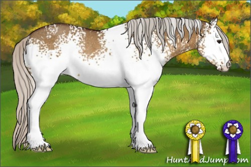 Horse Color:White Spotted Silver Brown Dun Rabicano 