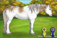 Horse Color:White Spotted Silver Brown Dun Rabicano 