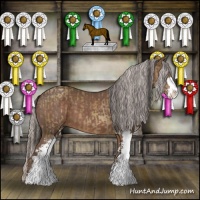 Horse Color:Classic Champagne Sabino  and Silver Black Sabino 