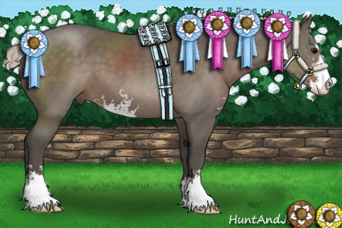 Horse Color:Silver Black Sabino 