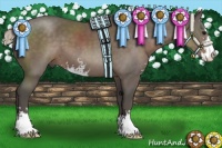 Horse Color:Silver Black Sabino 