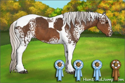 Horse Color:White Spotted Silver Brown Tobiano 