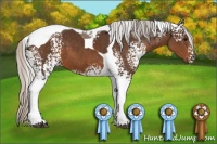 Horse Color:White Spotted Silver Brown Tobiano 