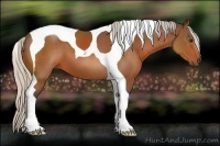 Horse Color:Silver Brown Sabino Tobiano