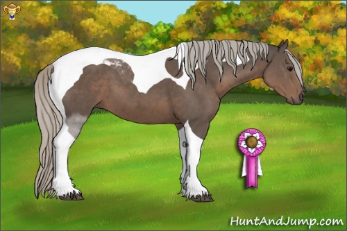 Horse Color:Silver Black Sabino Tobiano 