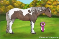 Horse Color:Silver Black Sabino Tobiano 