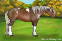 Horse Color:White Spotted Silver Brown Tobiano