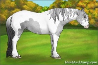 Horse Color:Black Sabino Tobiano 