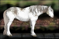 Horse Color:White Spotted Silver Black 