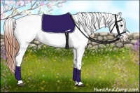 Horse Color:White Spotted Bay Dun Blanket Rabicano 
