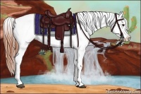 Horse Color:White Spotted Bay Dun Appaloosa