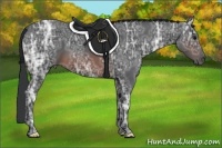 Horse Color:Brown Ice 