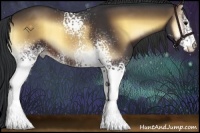 Horse Color:White Spotted Brown Onyx