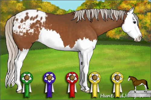 Horse Color:Silver Brown Splash Appaloosa 