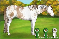 Horse Color:White Spotted Brown Pearl Rabicano 
