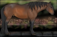 Horse Color:Brown 