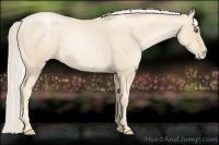 Horse Color:Gold Cream Champagne Roan Pearl 