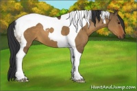 Horse Color:Brown Dun Tobiano 