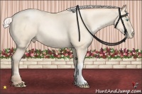 Horse Color:Silver Sable Cream Champagne Pearl