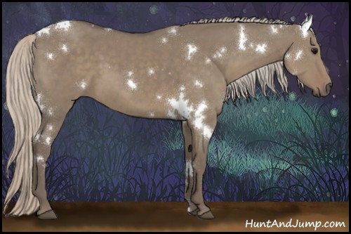 Horse Color:White Spotted Silver Grullo 