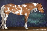 Horse Color:White Spotted Silver Bay 