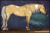 Horse Color:White Spotted Silver Bay Dun