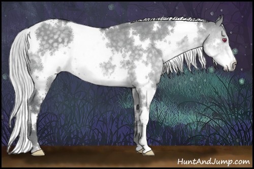 Horse Color:White Spotted Silver Smoky Grullo Chinchilla 