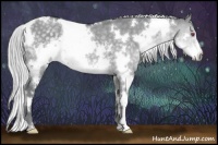 Horse Color:White Spotted Silver Smoky Grullo Chinchilla 